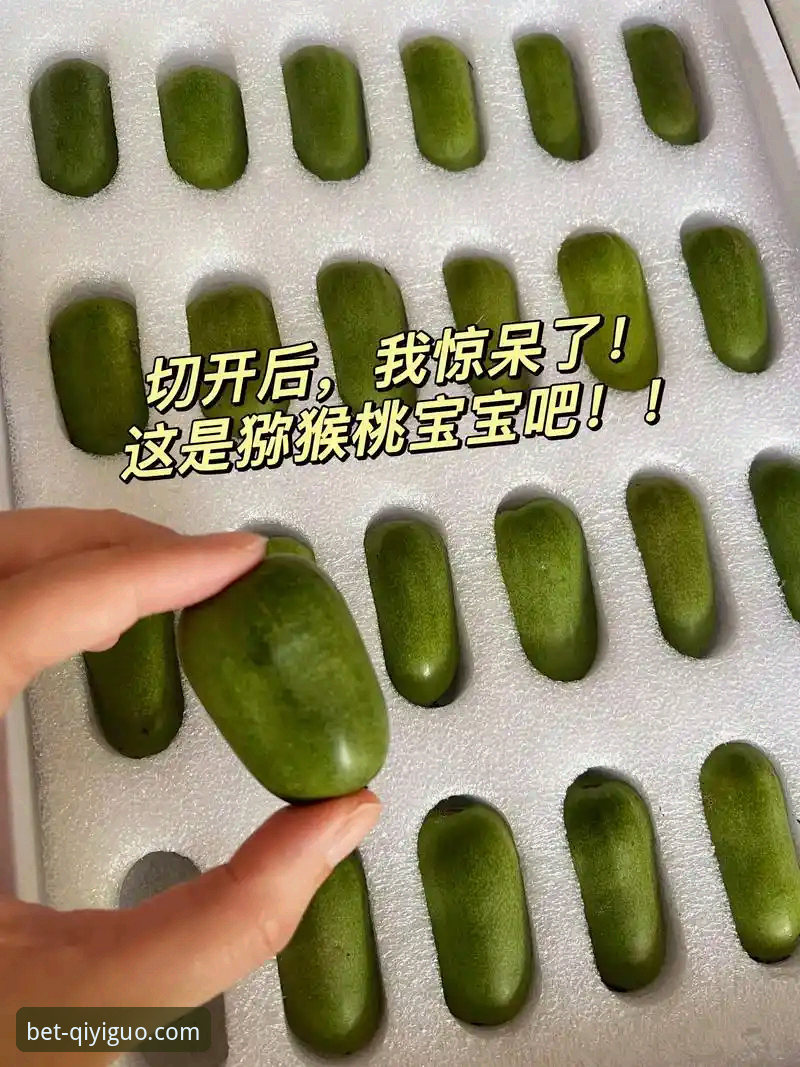 奇异果体育安卓版常见问题实用指南：从下载到投注的必备知识