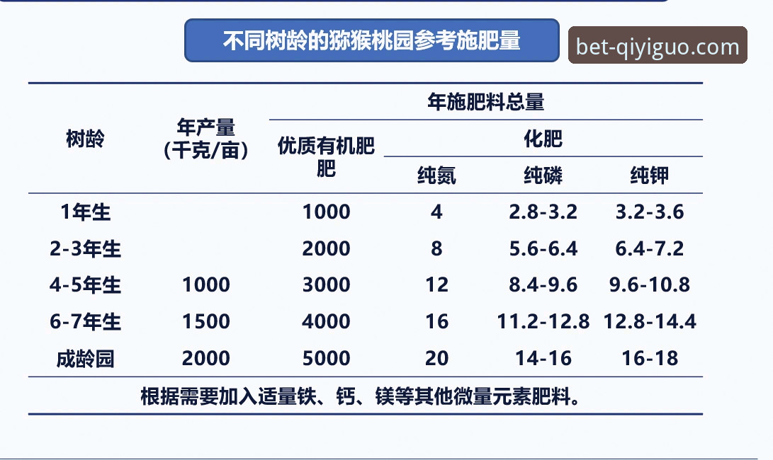 奇异果体育网页版深度使用教程：从入门到实战投注